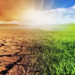 Il cambiamento climatico: una sfida globale da affrontare