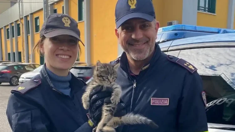 La gattina Camilla salvata dalla Polizia