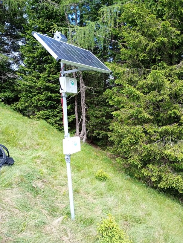 Monitoraggio in tempo reale delle foreste in Friuli: come funziona la rete dei TreeTalkers