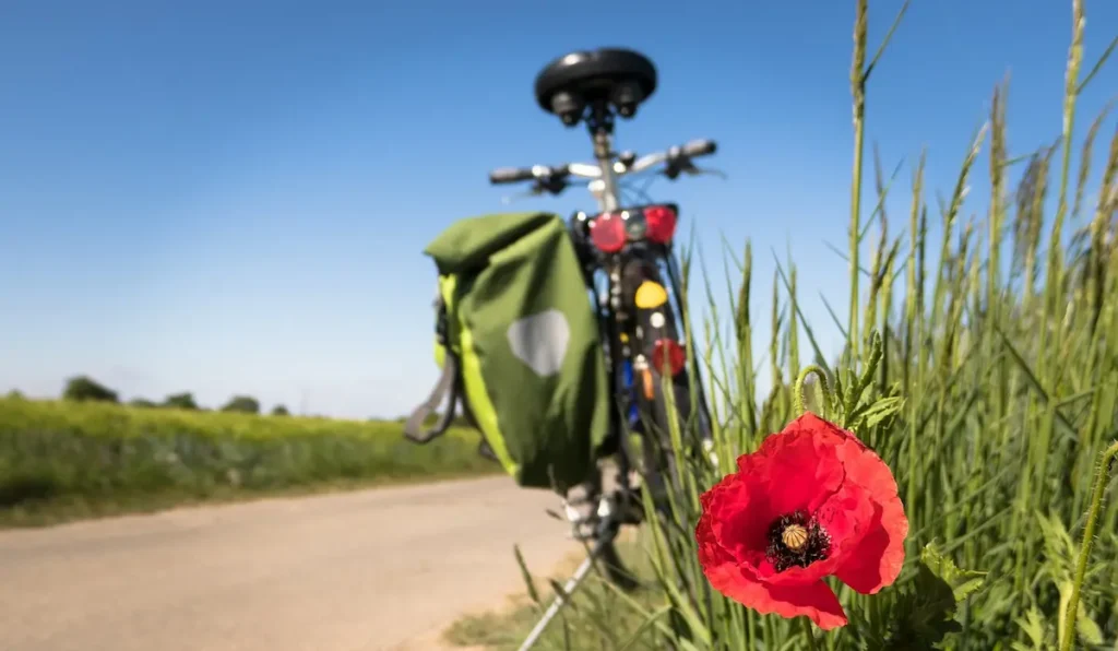 8 posti da visitare in bicicletta in Veneto a luglio