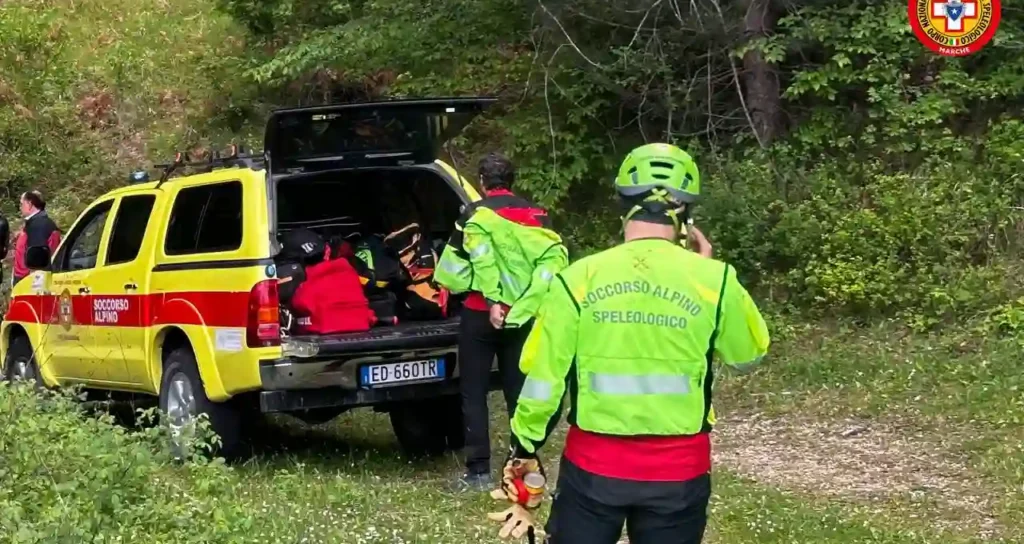 pista forestale a Forni di Sopra