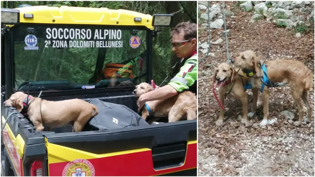 Lola e Lucy salvate dopo 3 giorni di ricerche