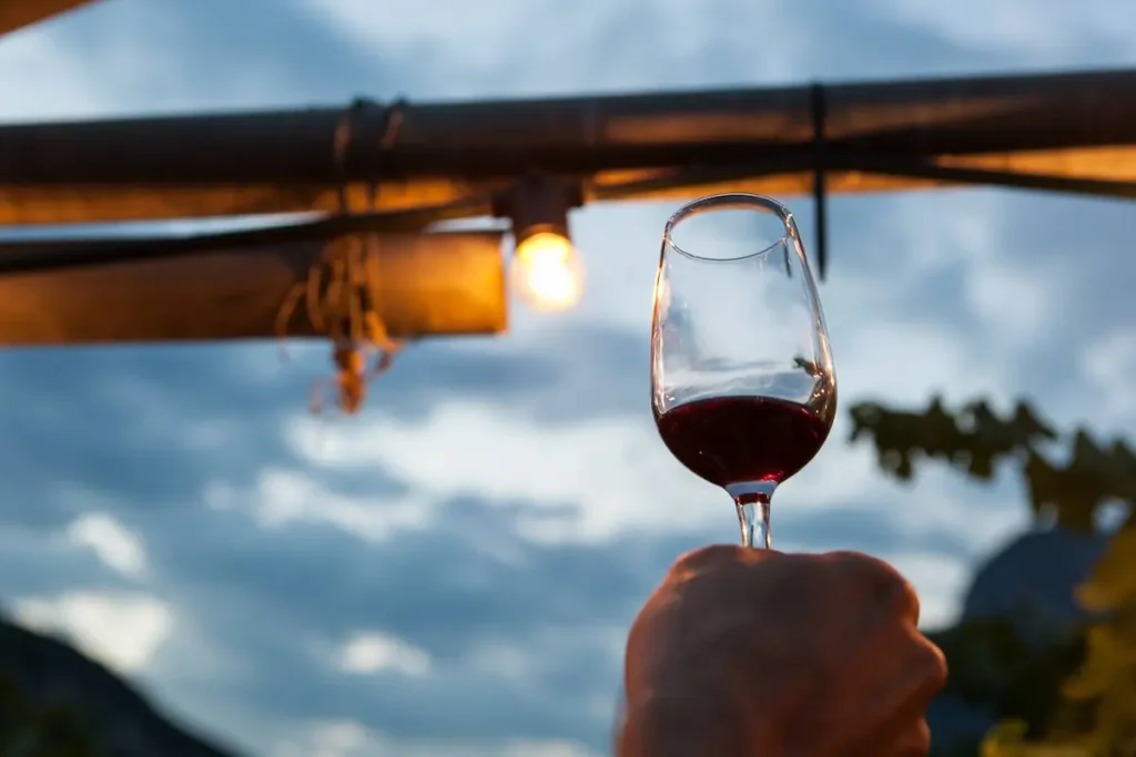 Calici di Stelle accende i cieli di Grado e San Daniele del Friuli