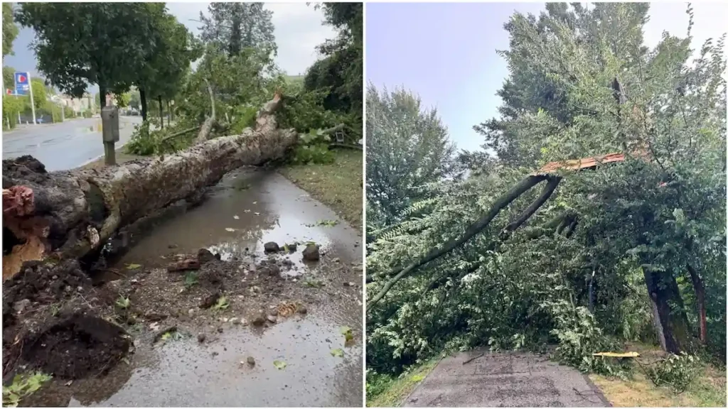 Maltempo nel Vicentino