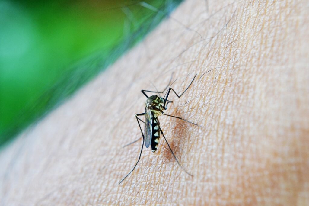 West Nile Virus a Nordest