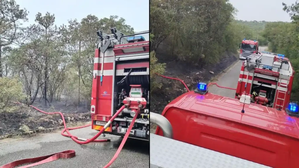 Incendio boschivo a Doberdò del Lago