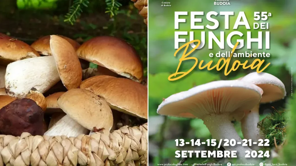 Festa dei Funghi e dell’Ambiente di Budoia