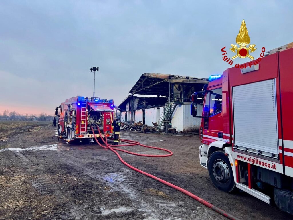 Limena, incendio in un'azienda agricola: morti diversi bovini