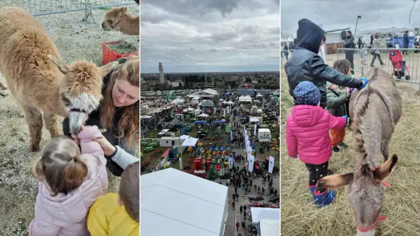 ANTICA FIERA DI GODEGA