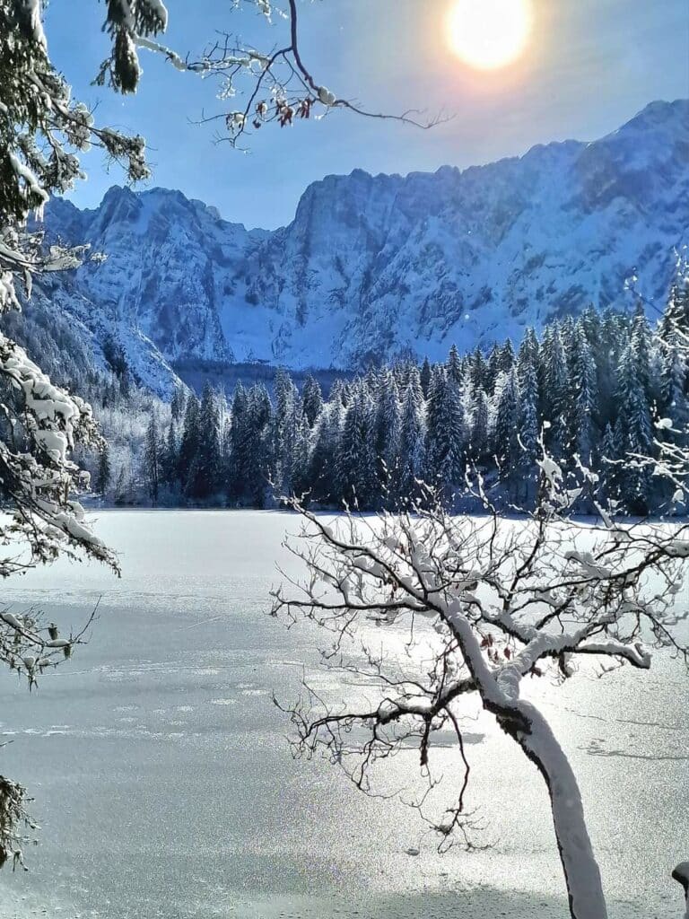 Laghi di Fusine