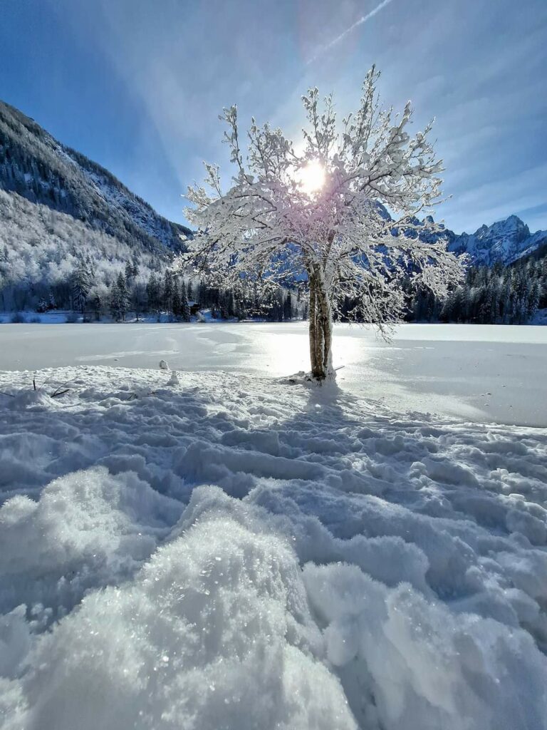 Laghi di Fusine