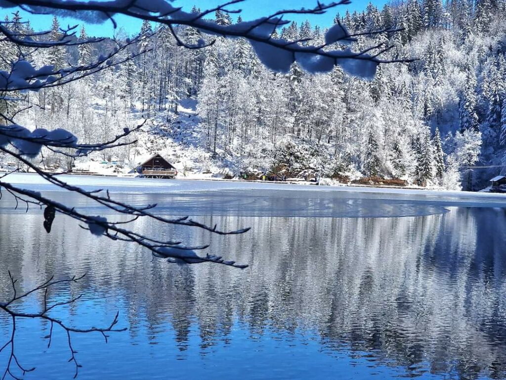 Laghi di Fusine