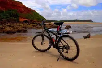 Cicloturismo a Nord Est: perchè cresce la passione per la bici tra Veneto e Friuli?