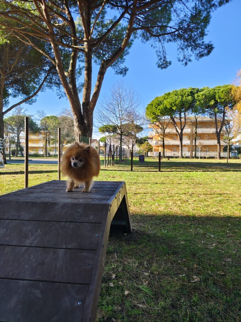 Lignano Sabbiadoro: inaugurata la prima area di sgambamento per cani