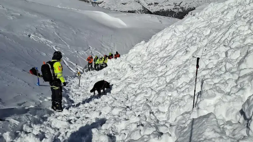 Valanga a Cima Costazza