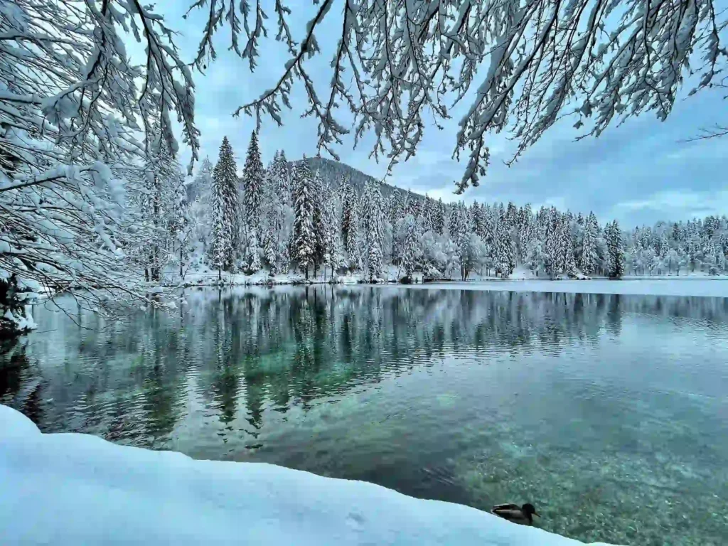 Laghi di Fusine