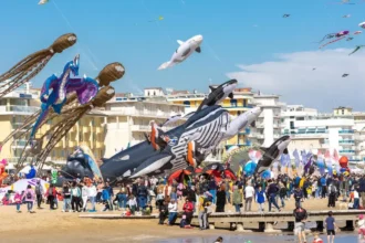 Beach & Kite Festival