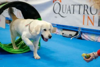 Quattrozampeinfiera arriva a Padova