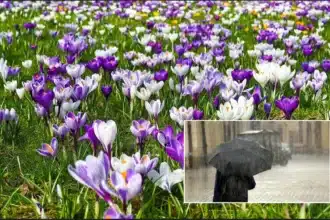 Primavera anticipata a Nord Est