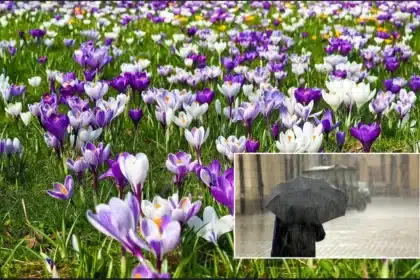 Primavera anticipata a Nord Est