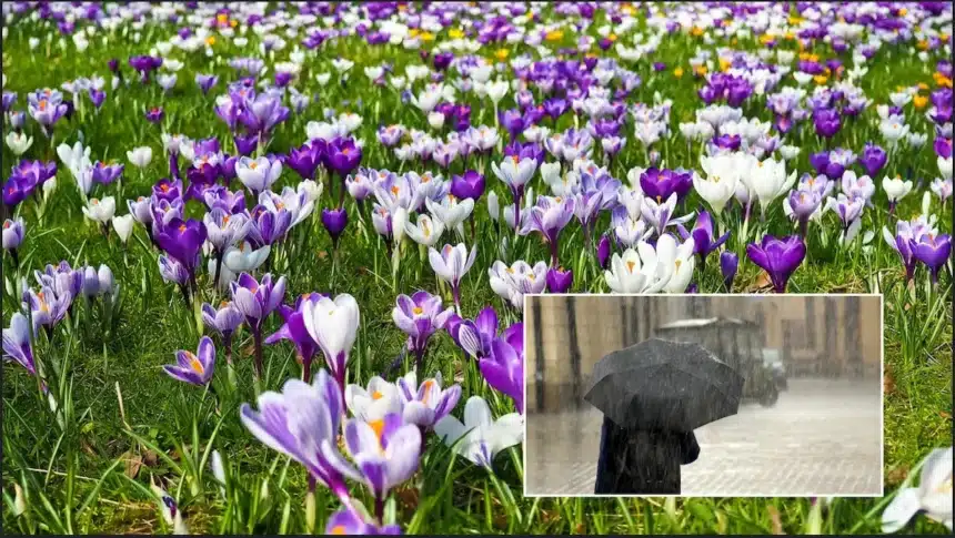 Primavera anticipata a Nord Est